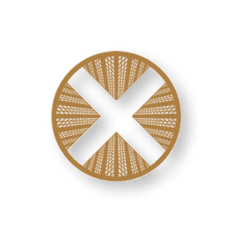 TownX Development Logo