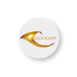 Condor Logo