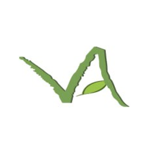 Vision Avenue Homes Logo