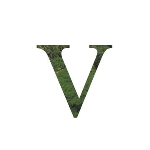 FIVE Holdings (SKAI Holdings) Logo