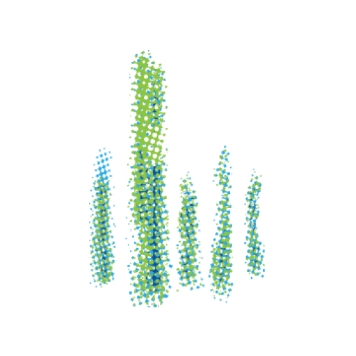 National Properties Logo