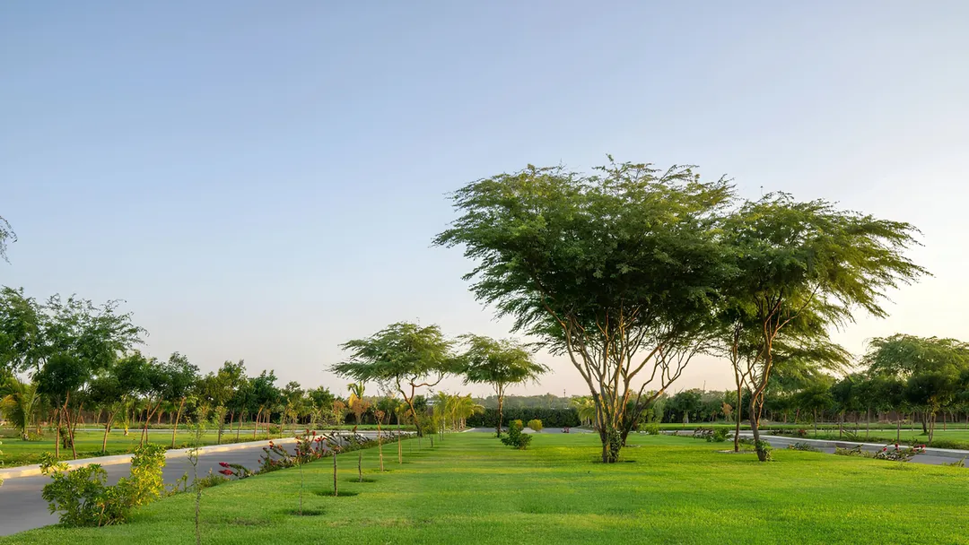 Arabian Hills Estate Phase 2 image 9