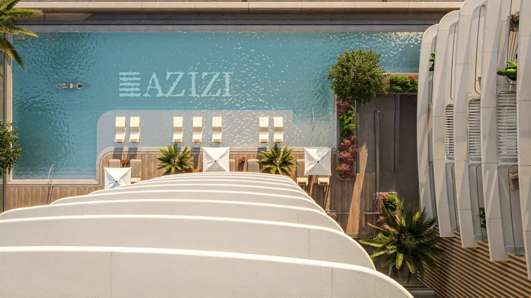 Azizi David image 17