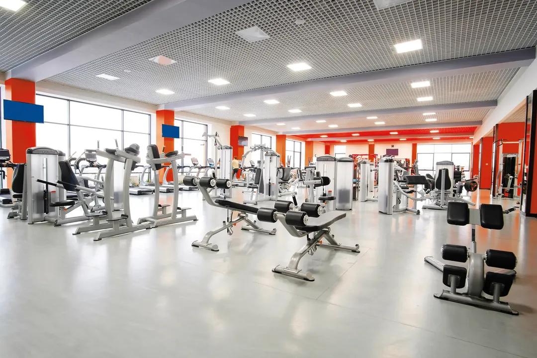 Sportz image 12