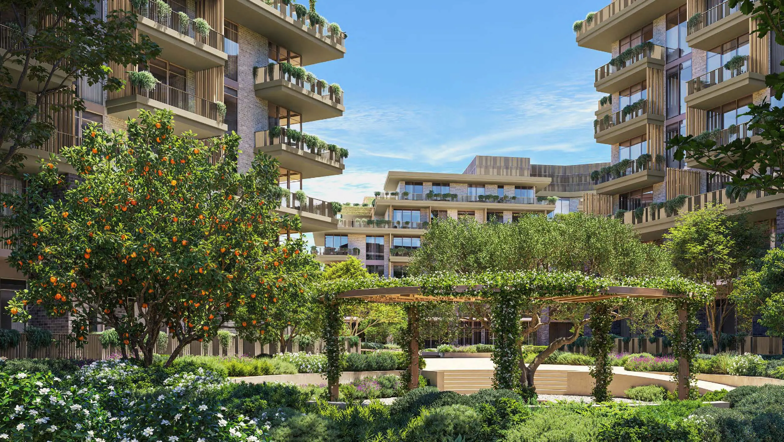 Arancia Yards 2 — image 9