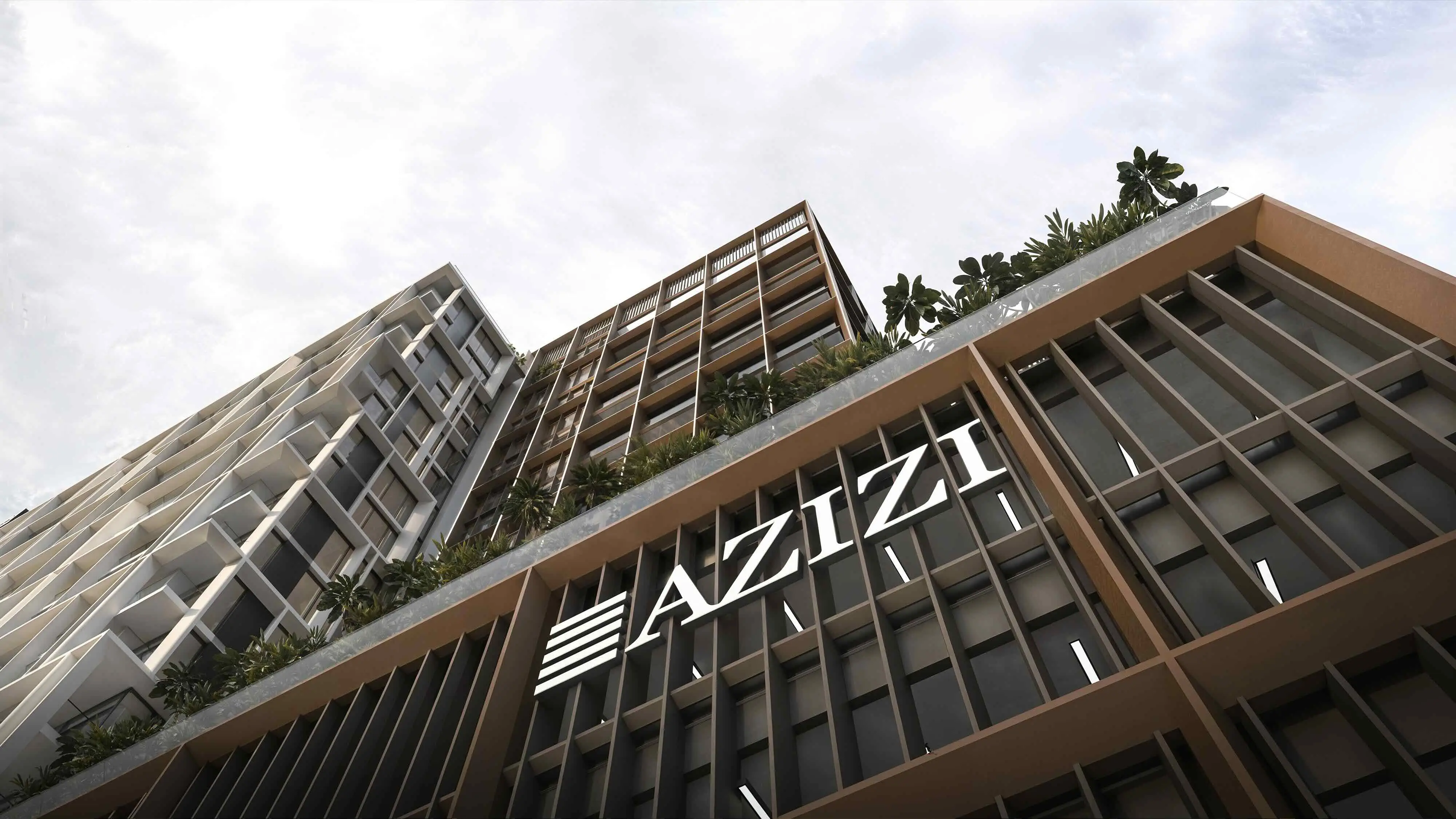 AZIZI "Azizi Farishta II"