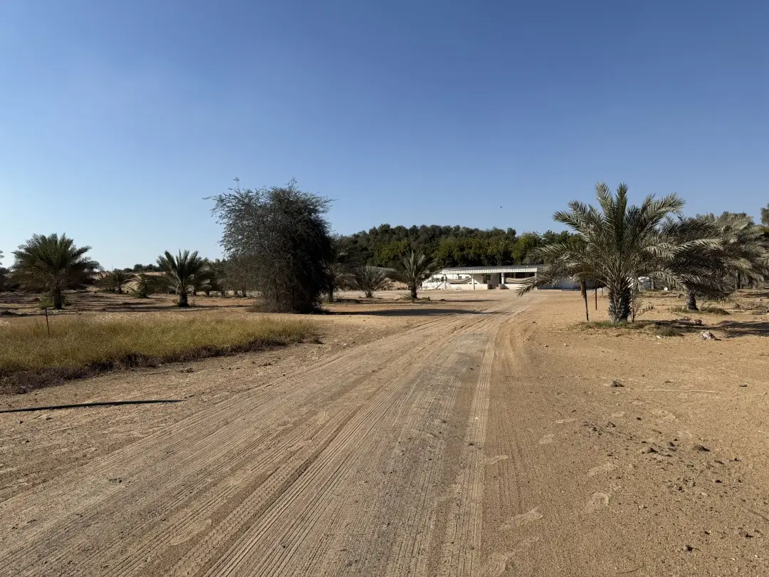 EMIRATES PROPERTIES "Al Zahya L"