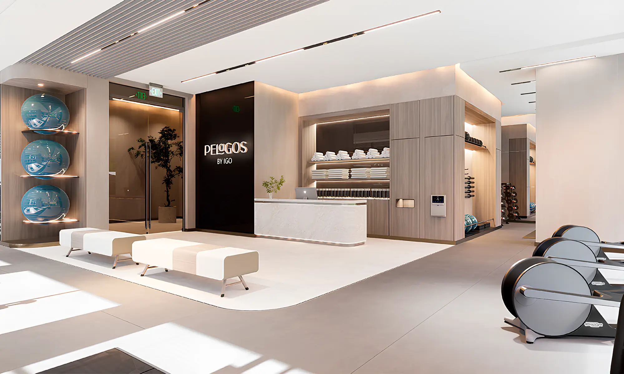 EVOLUTIONS "Pelagos" 11
